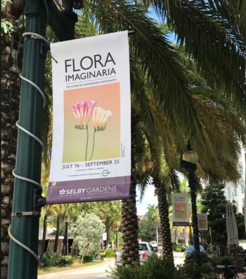 Flora Imaginaria: The Flower in Contemporary Photography, Selby Gardens, Sarasota (FL), USA